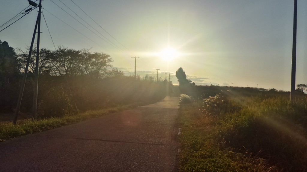 f:id:itotto:20161106153937j:plain f:id:itotto:20161106153937j:plain