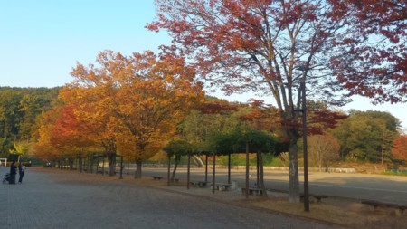 f:id:itotto:20161113153253j:image