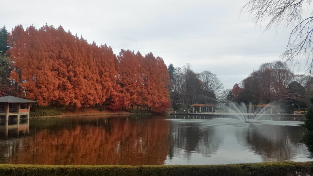 f:id:itotto:20161127115004j:plain