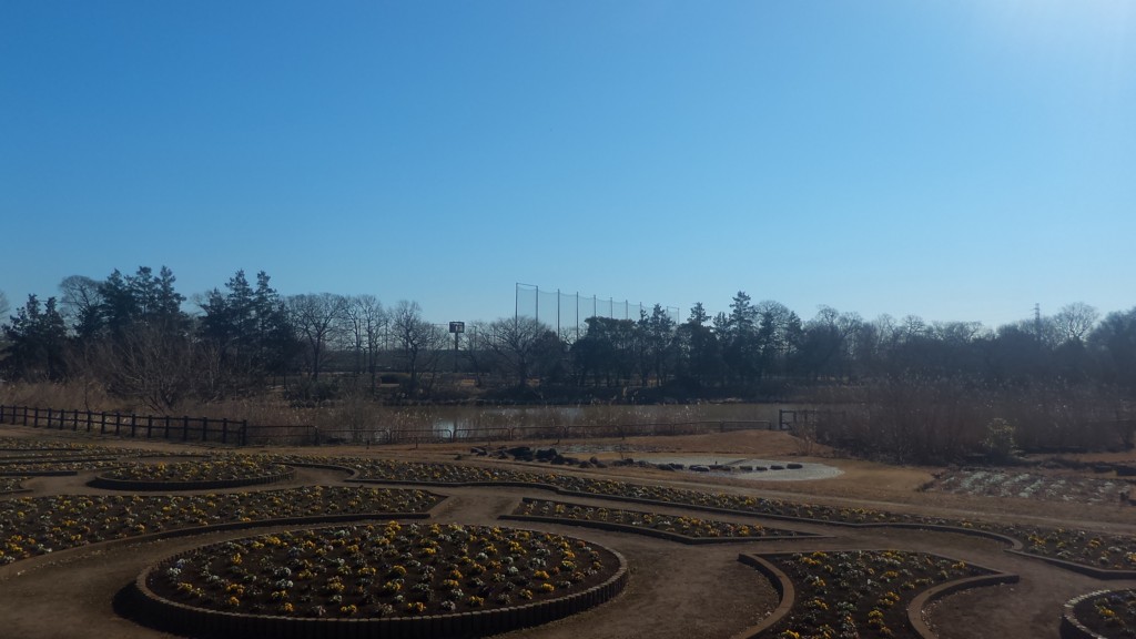 f:id:itotto:20170128105452j:plain f:id:itotto:20170128105452j:plain