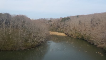 f:id:itotto:20170305133106j:image f:id:itotto:20170305133106j:image