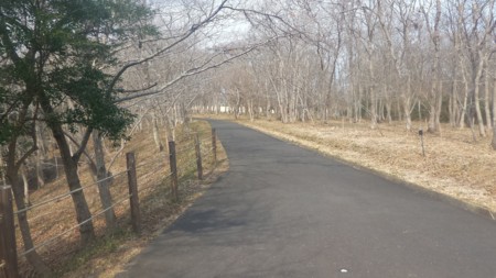 f:id:itotto:20170305133417j:image f:id:itotto:20170305133417j:image