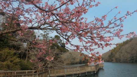 f:id:itotto:20170305135639j:image f:id:itotto:20170305135639j:image