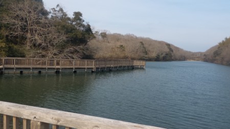 f:id:itotto:20170305135859j:image f:id:itotto:20170305135859j:image