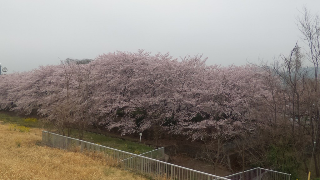 f:id:itotto:20170408170256j:plain