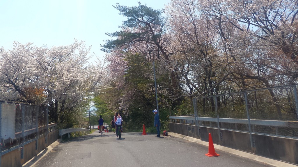 f:id:itotto:20170429101246j:plain