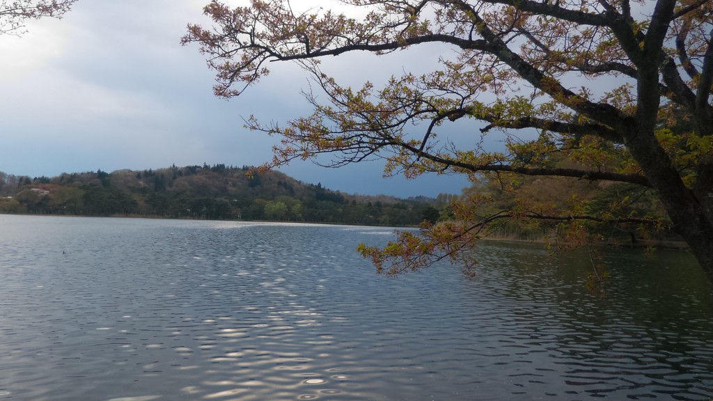 f:id:itotto:20170429154411j:plain f:id:itotto:20170429154411j:plain