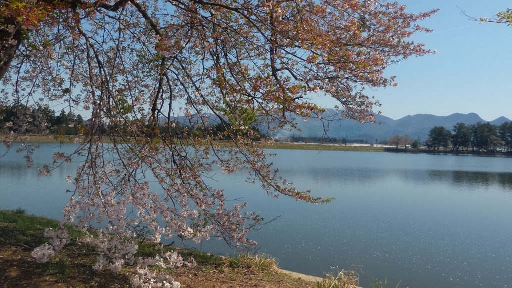 f:id:itotto:20170503094936j:plain f:id:itotto:20170503094936j:plain