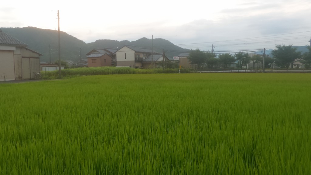 f:id:itotto:20170723051917j:plain f:id:itotto:20170723051917j:plain