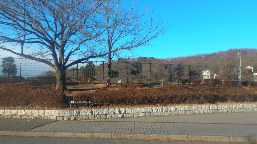 f:id:itotto:20180103151219j:plain