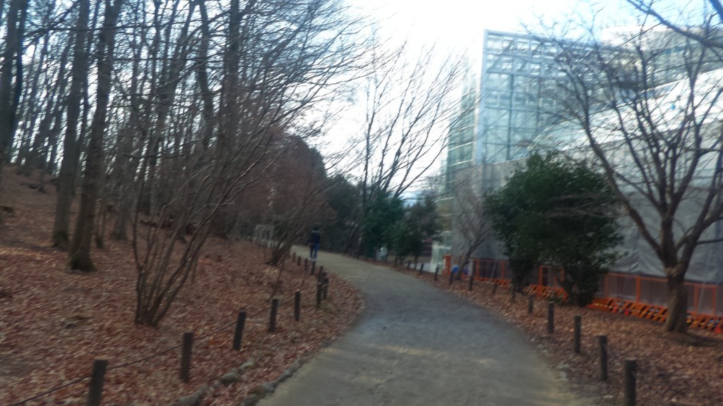 f:id:itotto:20180120133700j:plain