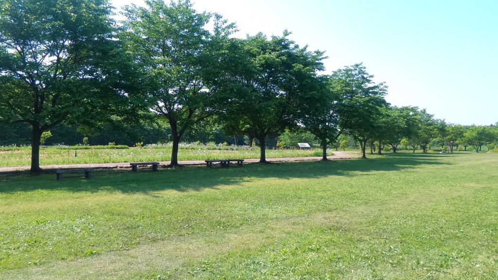 f:id:itotto:20180505085214j:plain