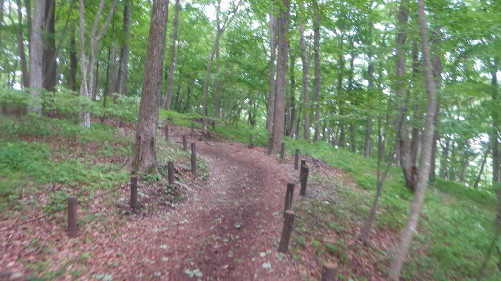 f:id:itotto:20180505094011j:plain