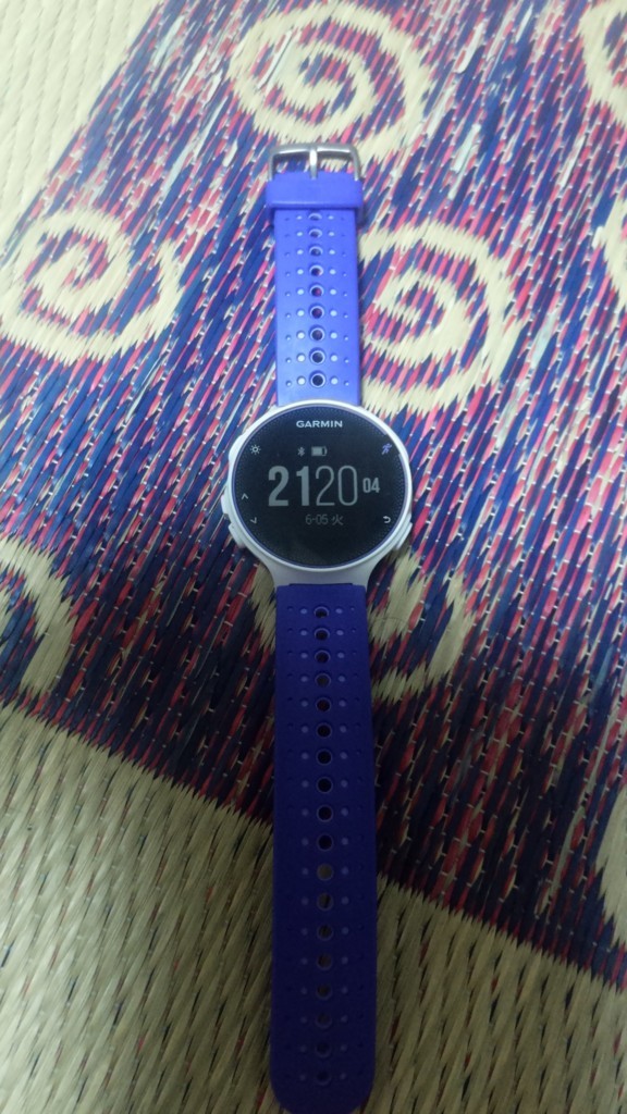 f:id:itotto:20180605212004j:plain