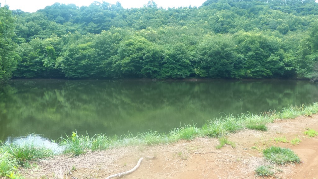 f:id:itotto:20180708112406j:plain f:id:itotto:20180708112406j:plain