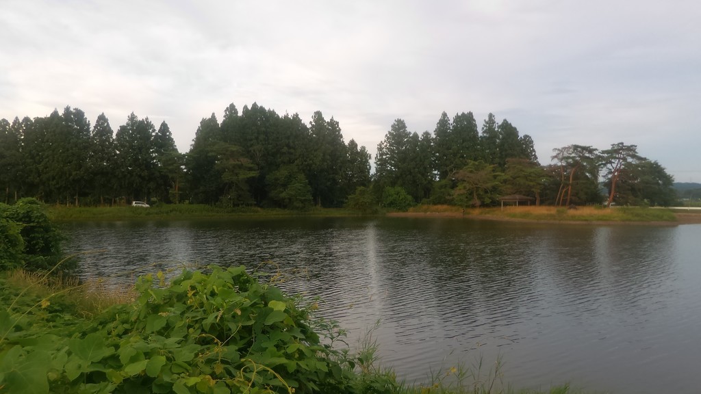 f:id:itotto:20180722175510j:plain f:id:itotto:20180722175510j:plain