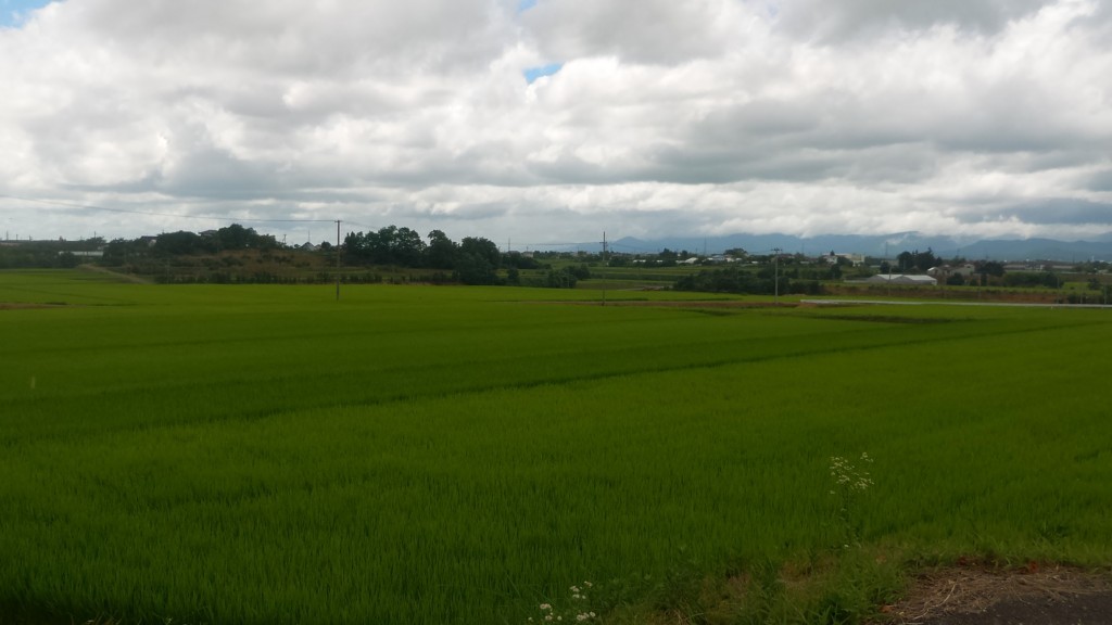 f:id:itotto:20180729122041j:plain