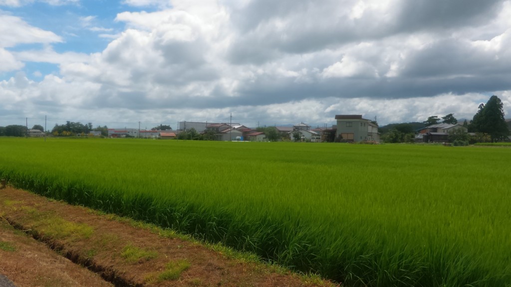 f:id:itotto:20180729132748j:plain