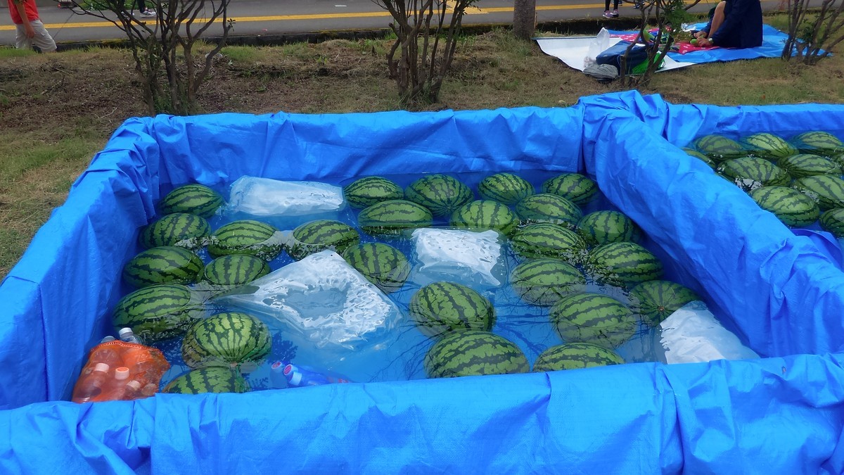 f:id:itotto:20180807082533j:plain