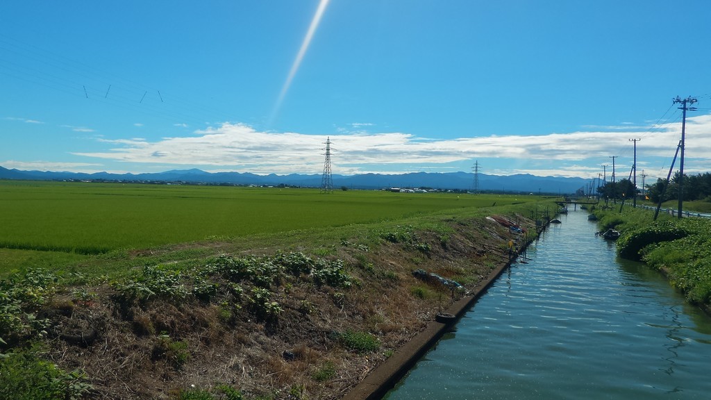 f:id:itotto:20180808082153j:plain f:id:itotto:20180808082153j:plain