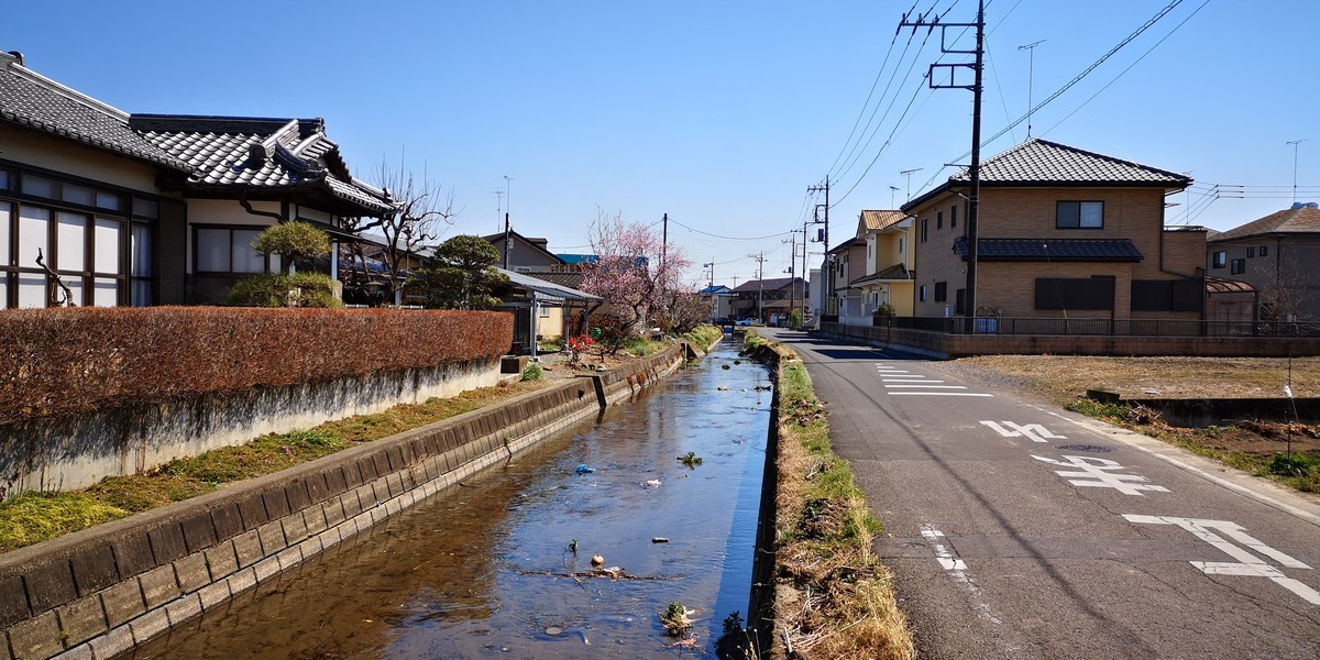 f:id:itotto:20190324123928j:plain