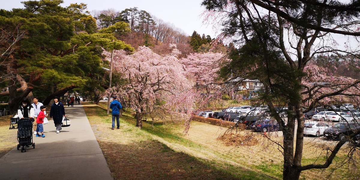 f:id:itotto:20190414122337j:plain