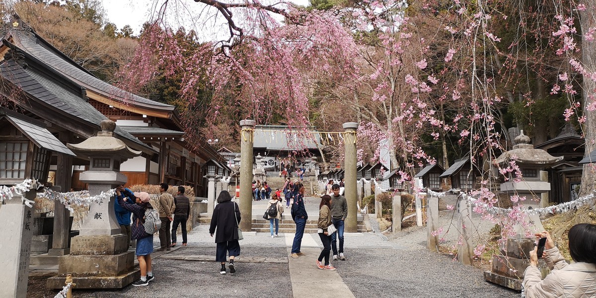 f:id:itotto:20190414123556j:plain