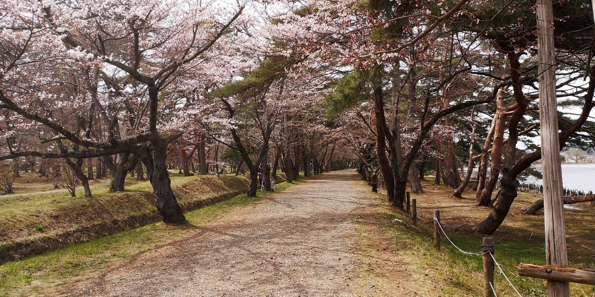 f:id:itotto:20190414125646j:plain