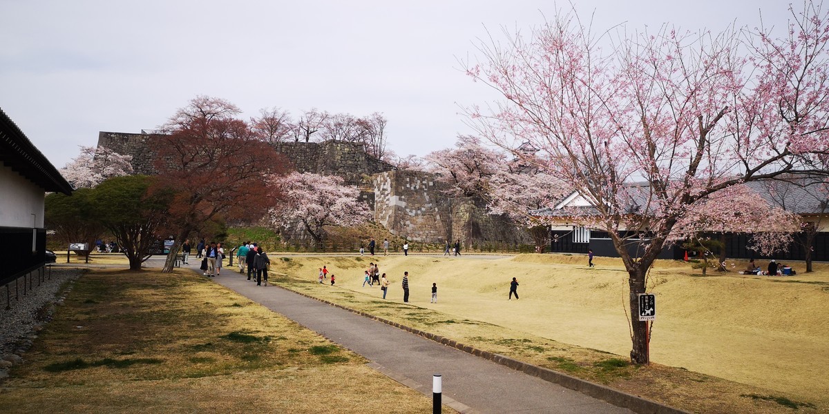 f:id:itotto:20190414142849j:plain