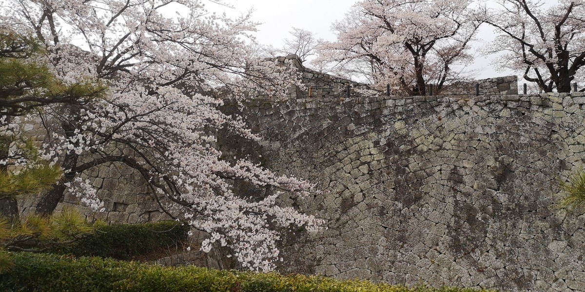 f:id:itotto:20190414143056j:plain
