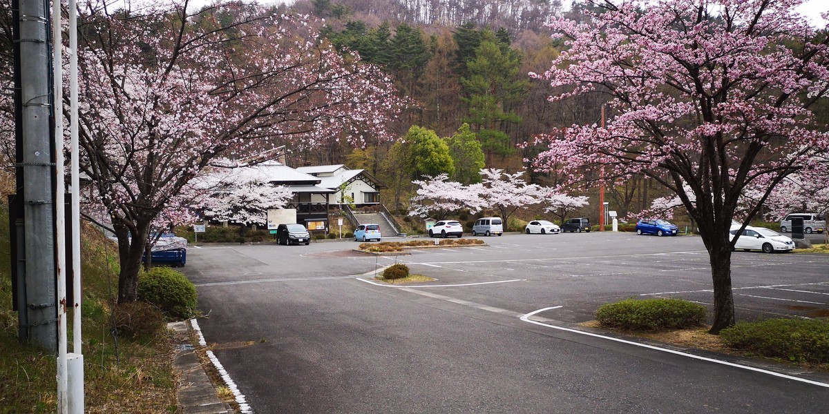 f:id:itotto:20190421123550j:plain
