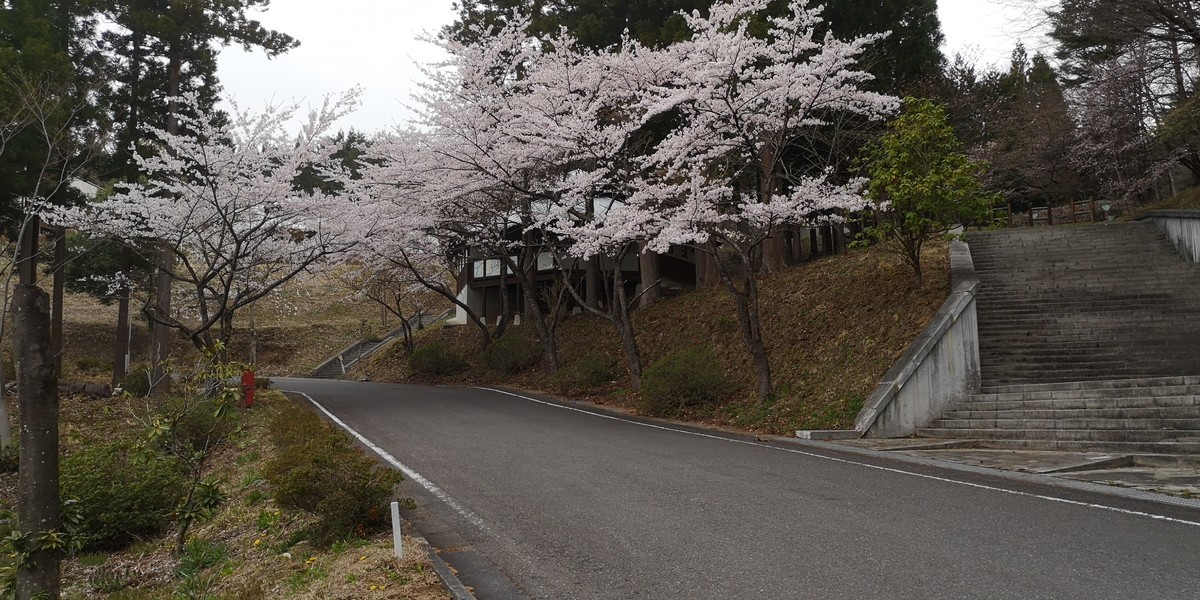 f:id:itotto:20190421123905j:plain
