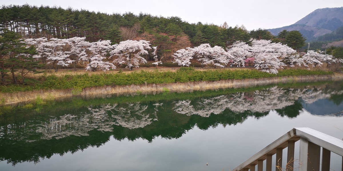 f:id:itotto:20190421124645j:plain