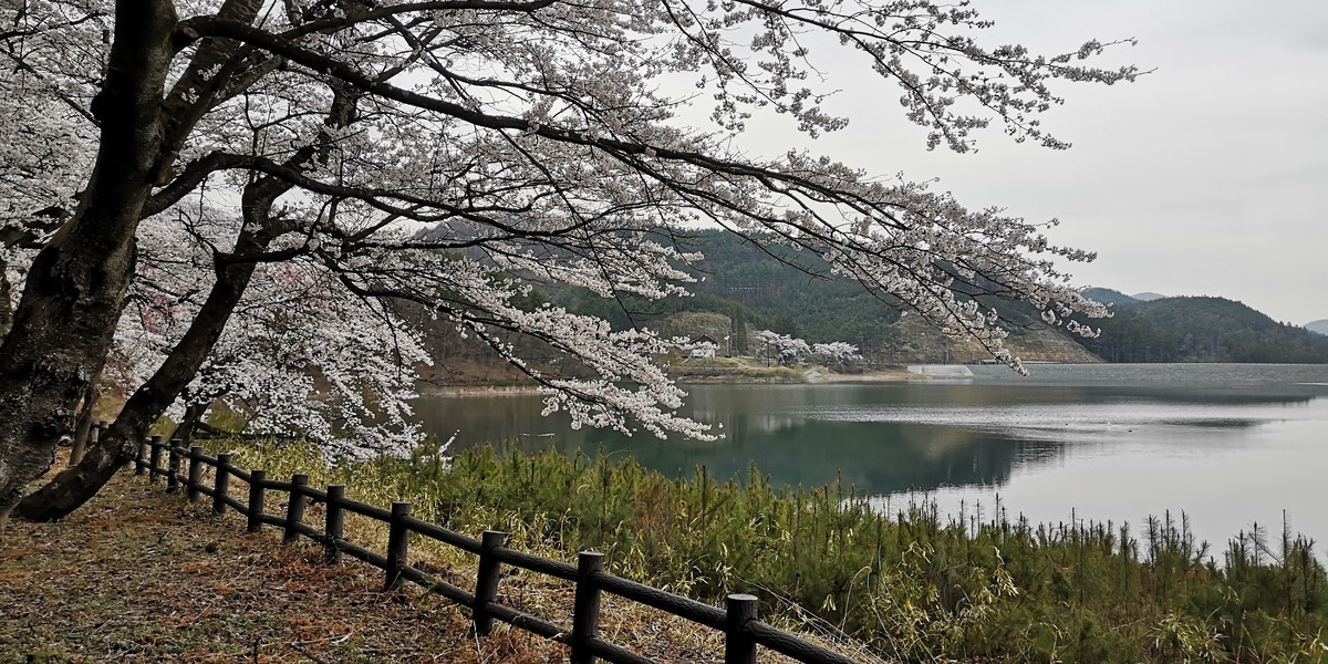 f:id:itotto:20190421124831j:plain