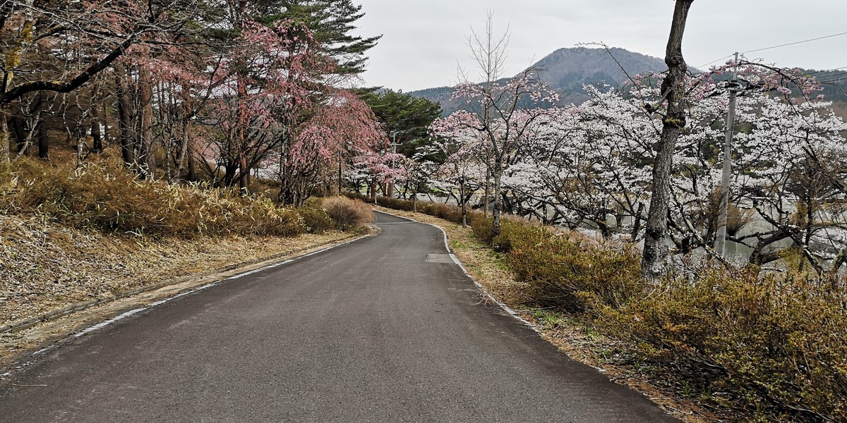 f:id:itotto:20190421124934j:plain
