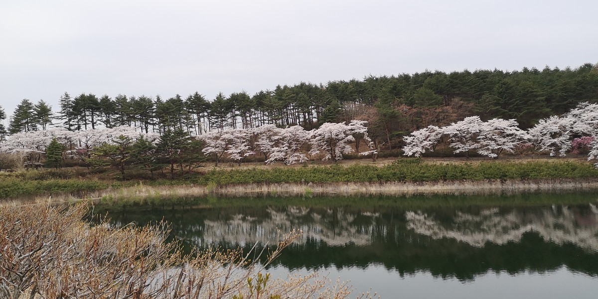 f:id:itotto:20190421134707j:plain