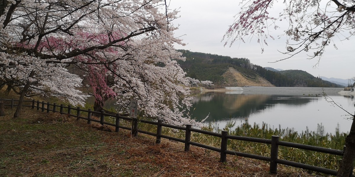 f:id:itotto:20190421134856j:plain