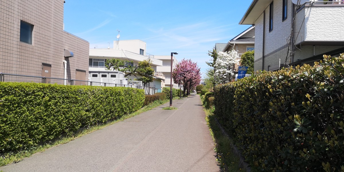 f:id:itotto:20190428111002j:plain