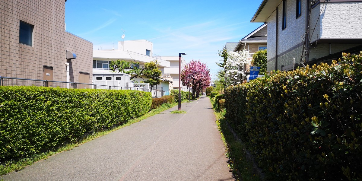 f:id:itotto:20190428111003j:plain