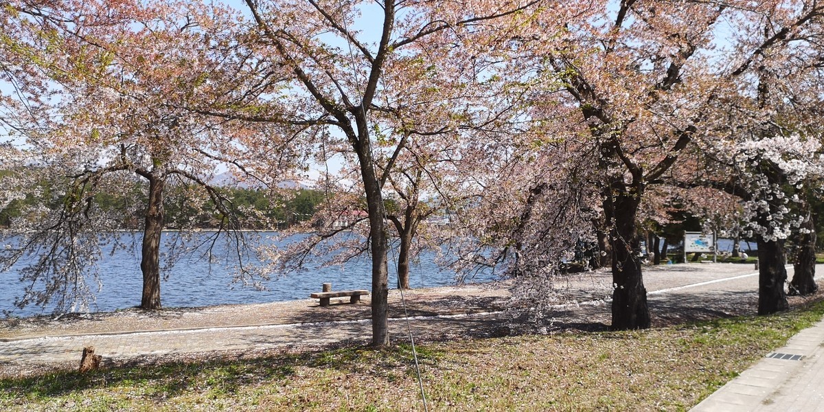 f:id:itotto:20190503121110j:plain f:id:itotto:20190503121110j:plain