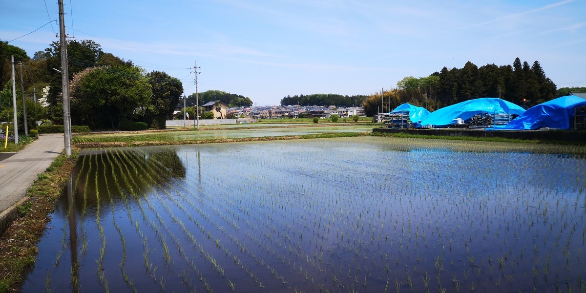 f:id:itotto:20190505112032j:plain
