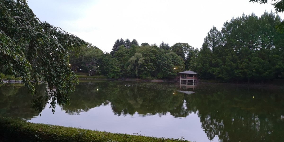 f:id:itotto:20190612190131j:plain f:id:itotto:20190612190131j:plain