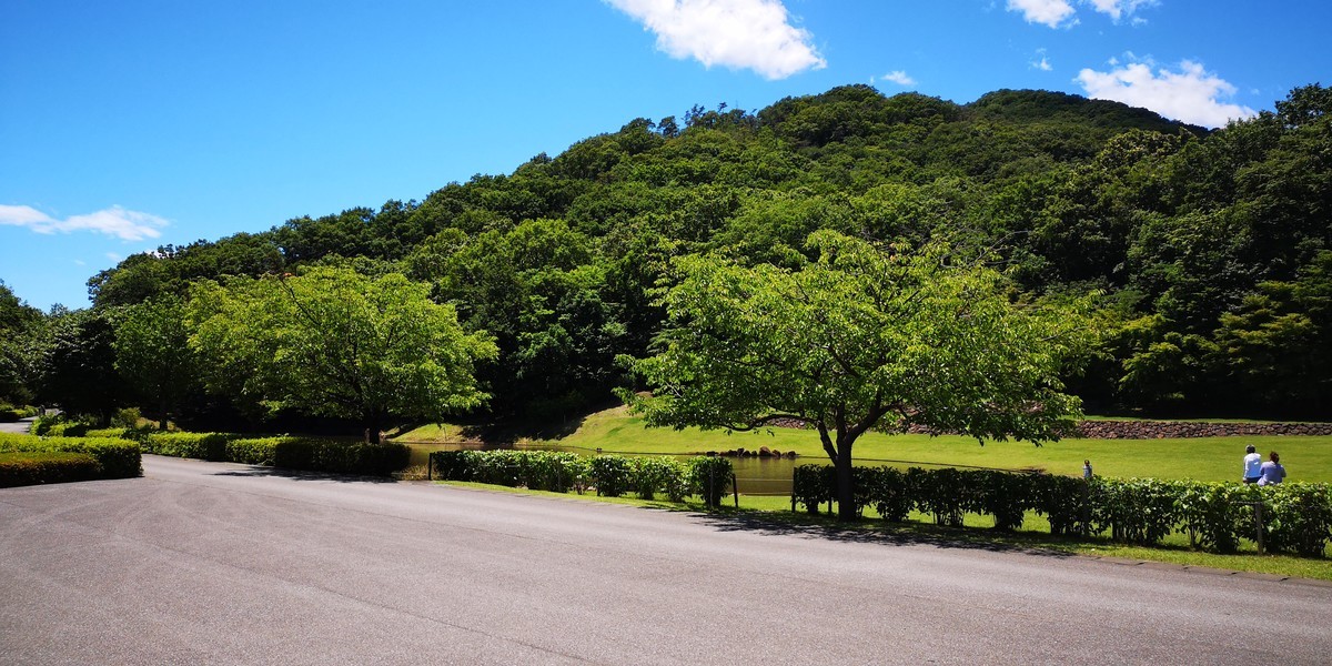 f:id:itotto:20190616112429j:plain f:id:itotto:20190616112429j:plain