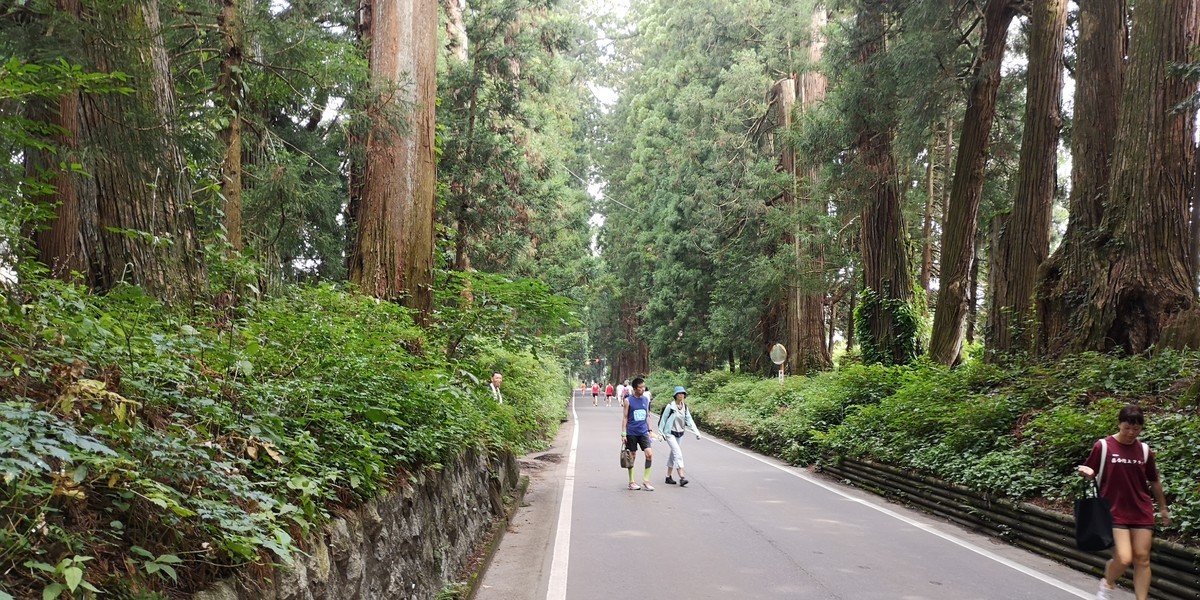 f:id:itotto:20190804093556j:plain f:id:itotto:20190804093556j:plain