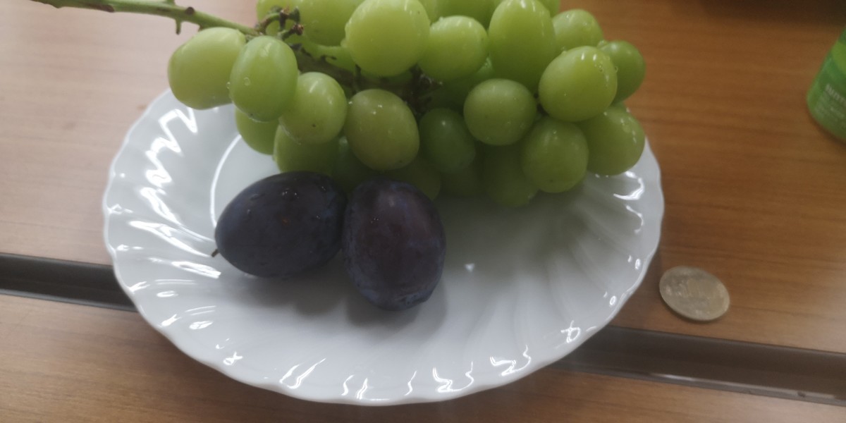 f:id:itotto:20190903122241j:plain