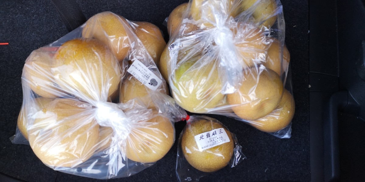 f:id:itotto:20190907081339j:plain