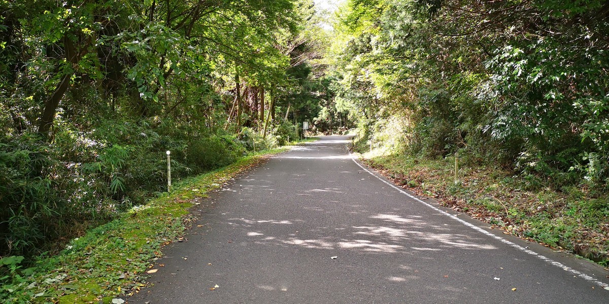 f:id:itotto:20190907091824j:plain