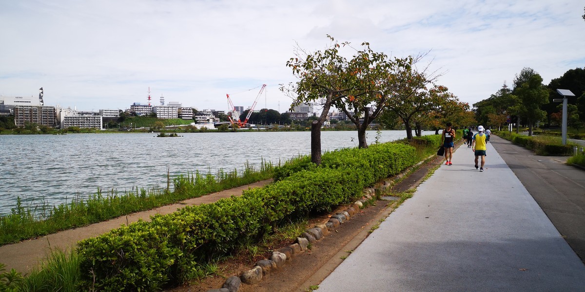 f:id:itotto:20190922102438j:plain f:id:itotto:20190922102438j:plain