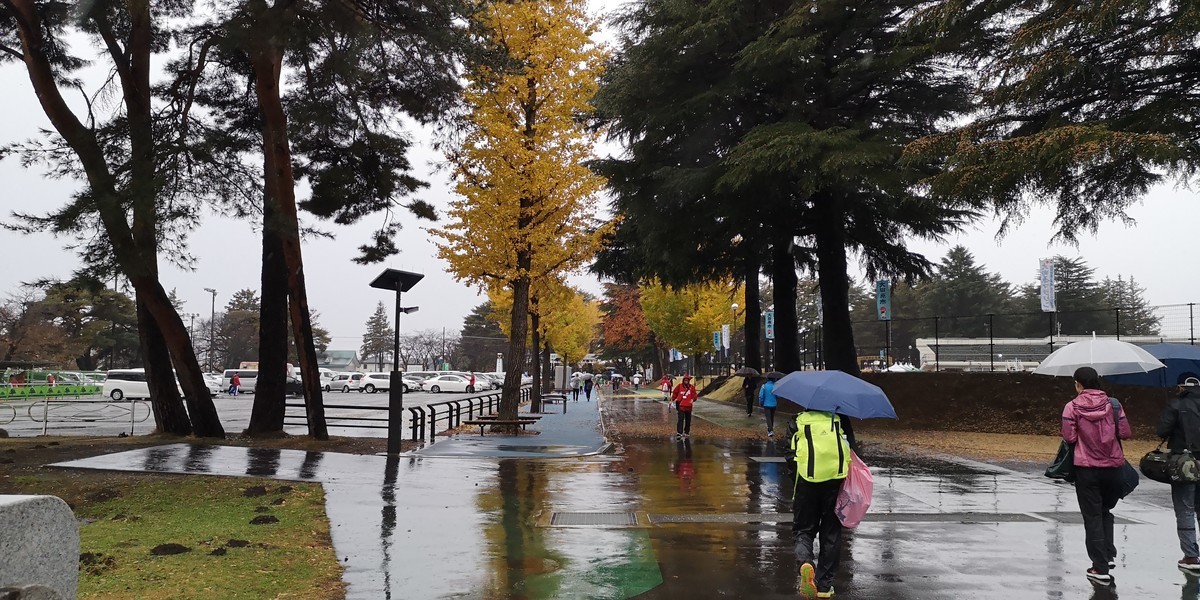 f:id:itotto:20191123080858j:plain