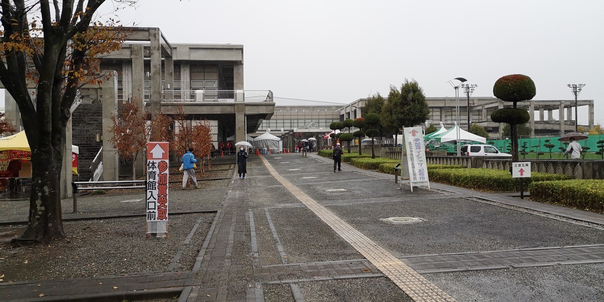 f:id:itotto:20191123081352j:plain f:id:itotto:20191123081352j:plain
